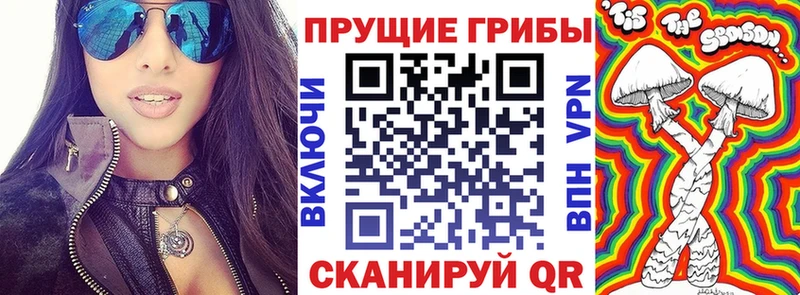 цены Хотьково Галлюциногенные грибы MAGIC MUSHROOMS
